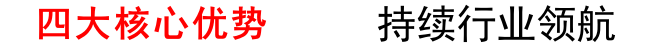 公司優(yōu)勢(shì)